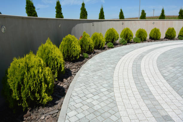 Best Driveway Pavers Cost  in Cold Springs, NV