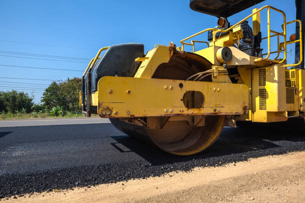Best Best Driveway Pavers  in Cold Springs, NV